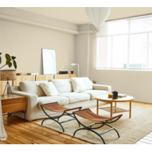 Galão Suvinil Toque Fosco Palha 3,6L