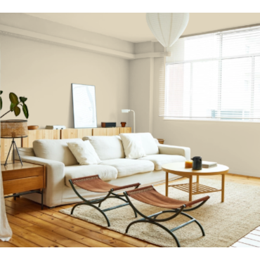 Galão Suvinil Toque Fosco Palha 3,6L