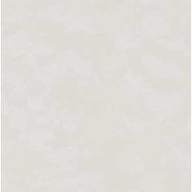 Piso PHD86660R Retificado 86x86cm
