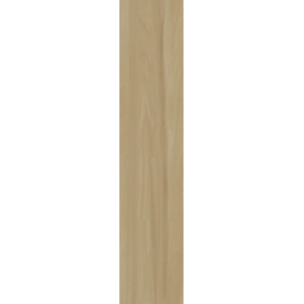 Porcelanato Acetinado Retificado Donatello 20x120cm