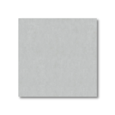 Porcelanato Biancogres Externo Cemento Grigio 60x60 BP1209D1