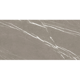 Porcelanato Damme Armani Fendi Polido 61x120cm