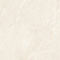 Porcelanato Damme Atlantis Crema Polido 82x82cm