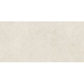 Porcelanato Damme Pietra de Borgonha 61x121cm