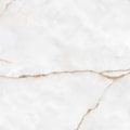 Porcelanato Damme Thasos Acetinado 121x121cm