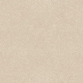 Porcelanato Pietra Naturale Cinza Externo AD4 60x60cm