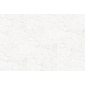 Porcelanato Polido Maestro Blanc 61x120cm