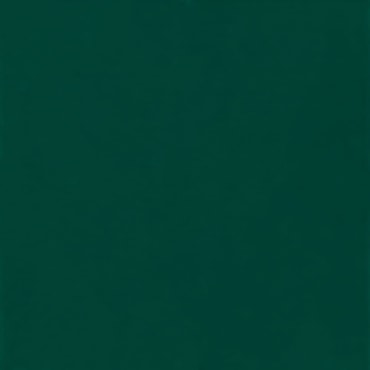 Revestimento Pierini Guarda Brilhante 20x20cm Revestimento Pierini Guarda Brilhante 20x20cm